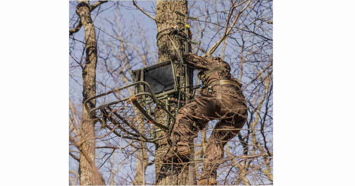 climbing a treestand